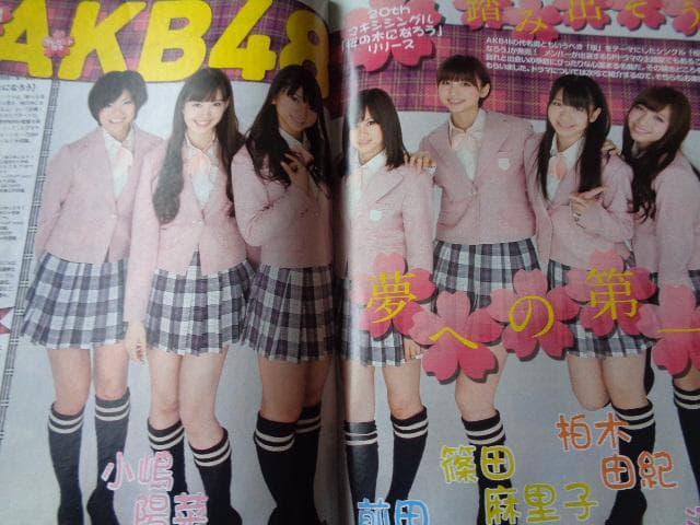 テレビガイド　テゴマス　AKB