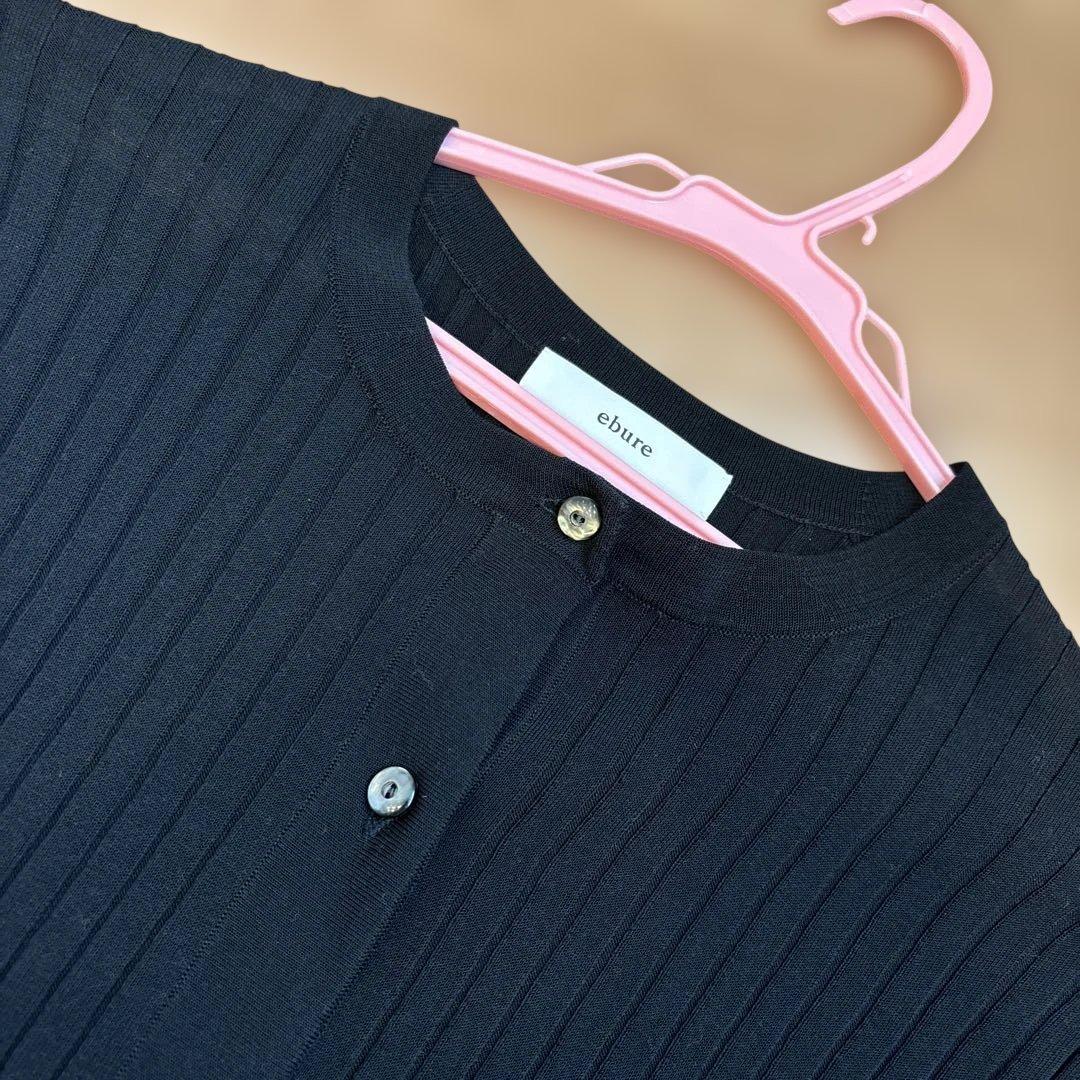 ebure シアーコットンアセテート クルーネックニットトップス エブール