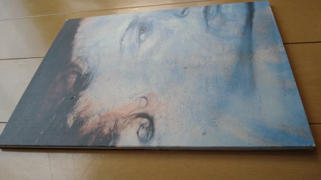 Kiki Smith キキ・スミス展のカタログ