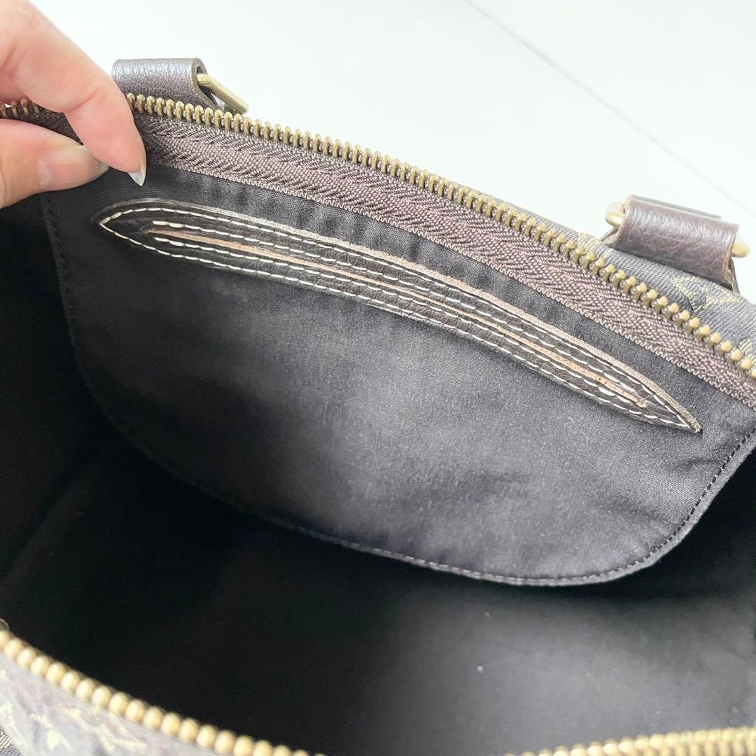 【極美品・レア】ルイヴィトン スピーディ30 モノグラム・イディール フザン
