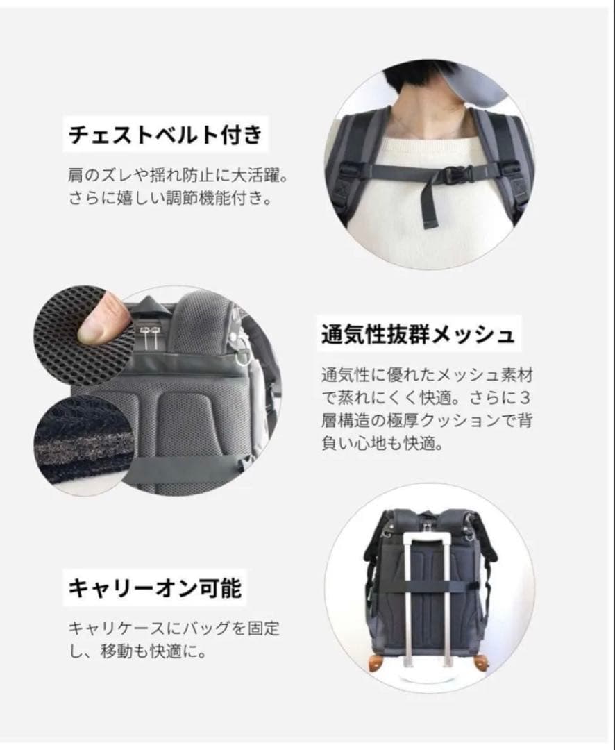 おねこさまおいぬさまのキャリーバック　グレーです
