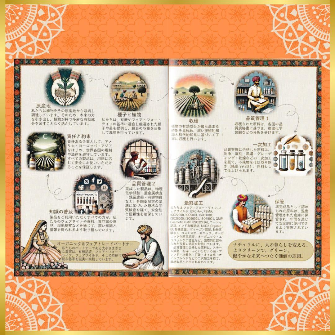 【正規品】eco veda®︎ヘナ オレンジ7箱／ブロンド3箱
