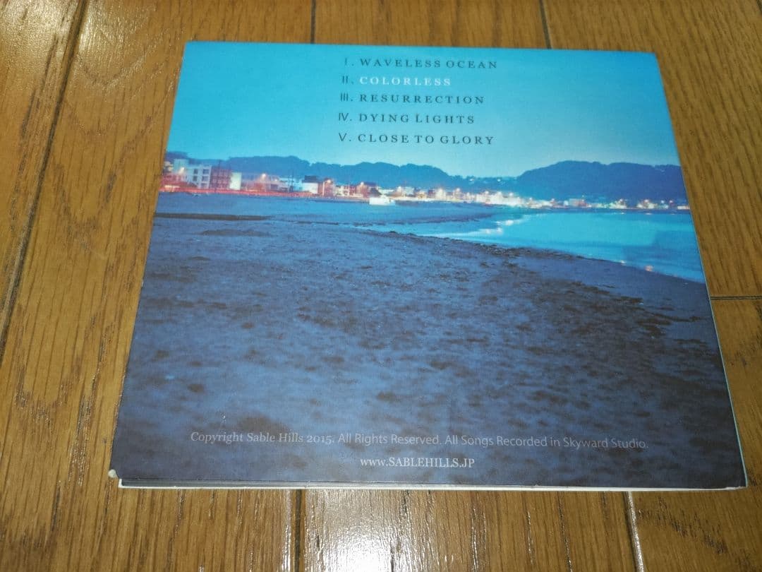 【廃盤、激レア】RESURRECTION/Sable Hills