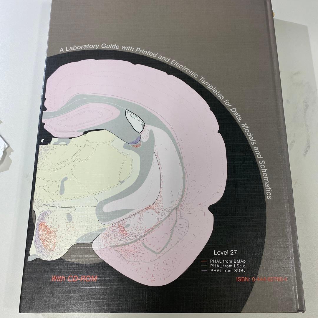 BRAIN MAPS （structure of the Rat Brain）