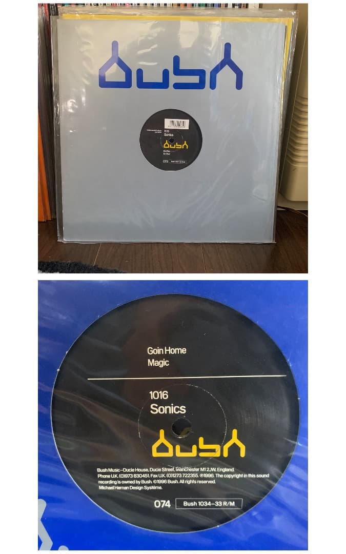 BUSH(UK) レコード13枚