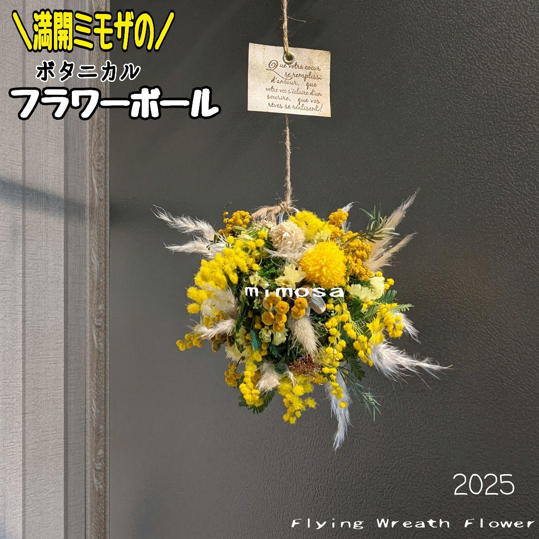 フライングリースボタニカルver.×ミモザ〚フライングリースのある暮らし✨️〛