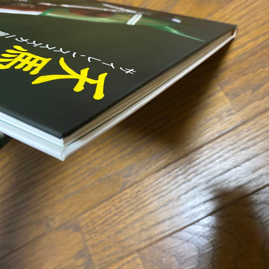 天馬のように　サイレンススズカ一周忌追悼写真集