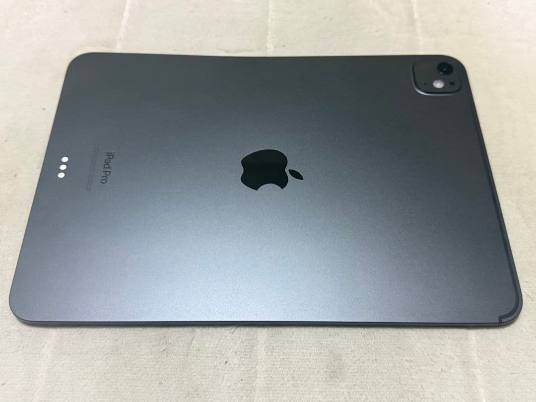 iPad本体 iPad Pro 11inch M4 256GB Wi-Fi