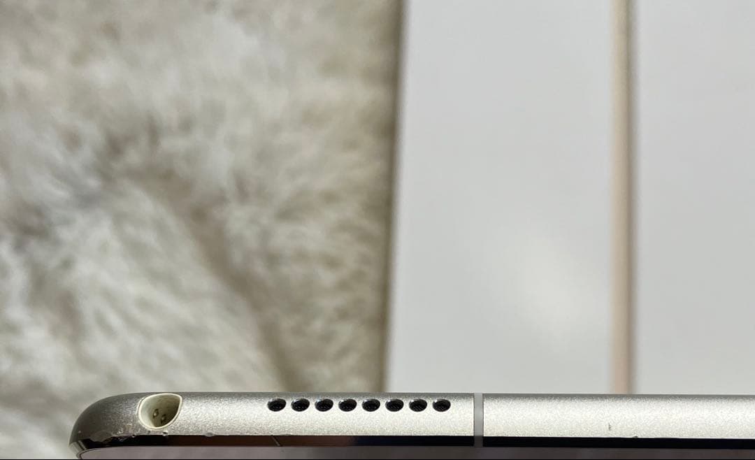 【1台限定価格】iPad Pro 10.5 256GB SIMフリー 【付属品】
