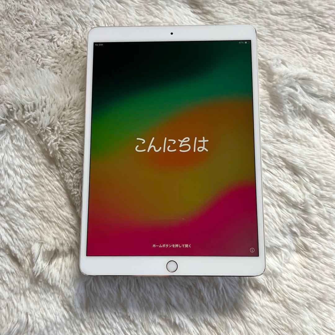 【1台限定価格】iPad Pro 10.5 256GB SIMフリー 【付属品】