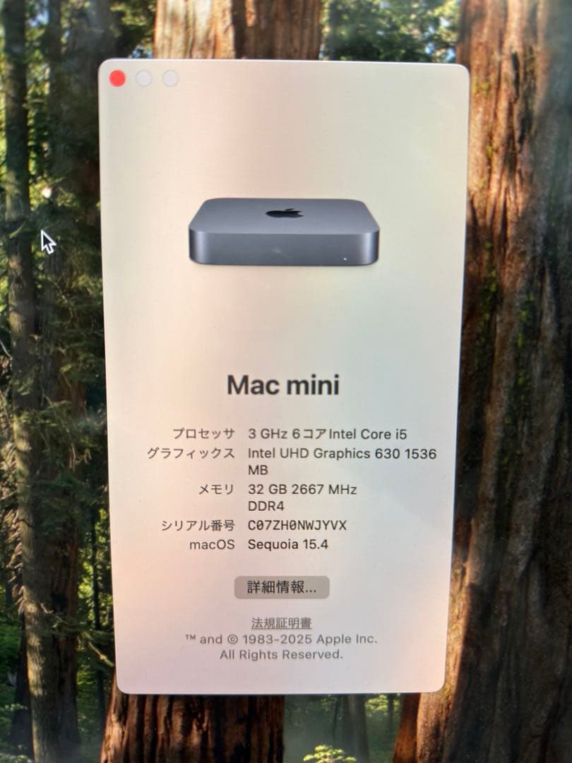 ミニPC Apple Mac mini 2018 Core i5 32GB 256GB