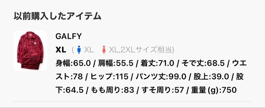 完売品　GALFY ベロア　大型犬　セットアップ　　上下セットアップ　特攻服