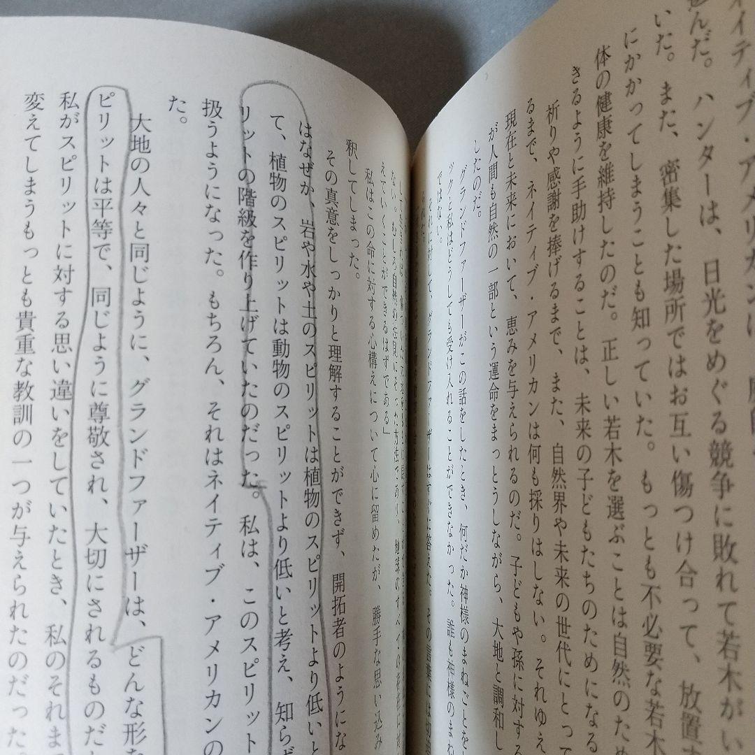 ヴィジョン―次元のベールを超えて見た地球の未来