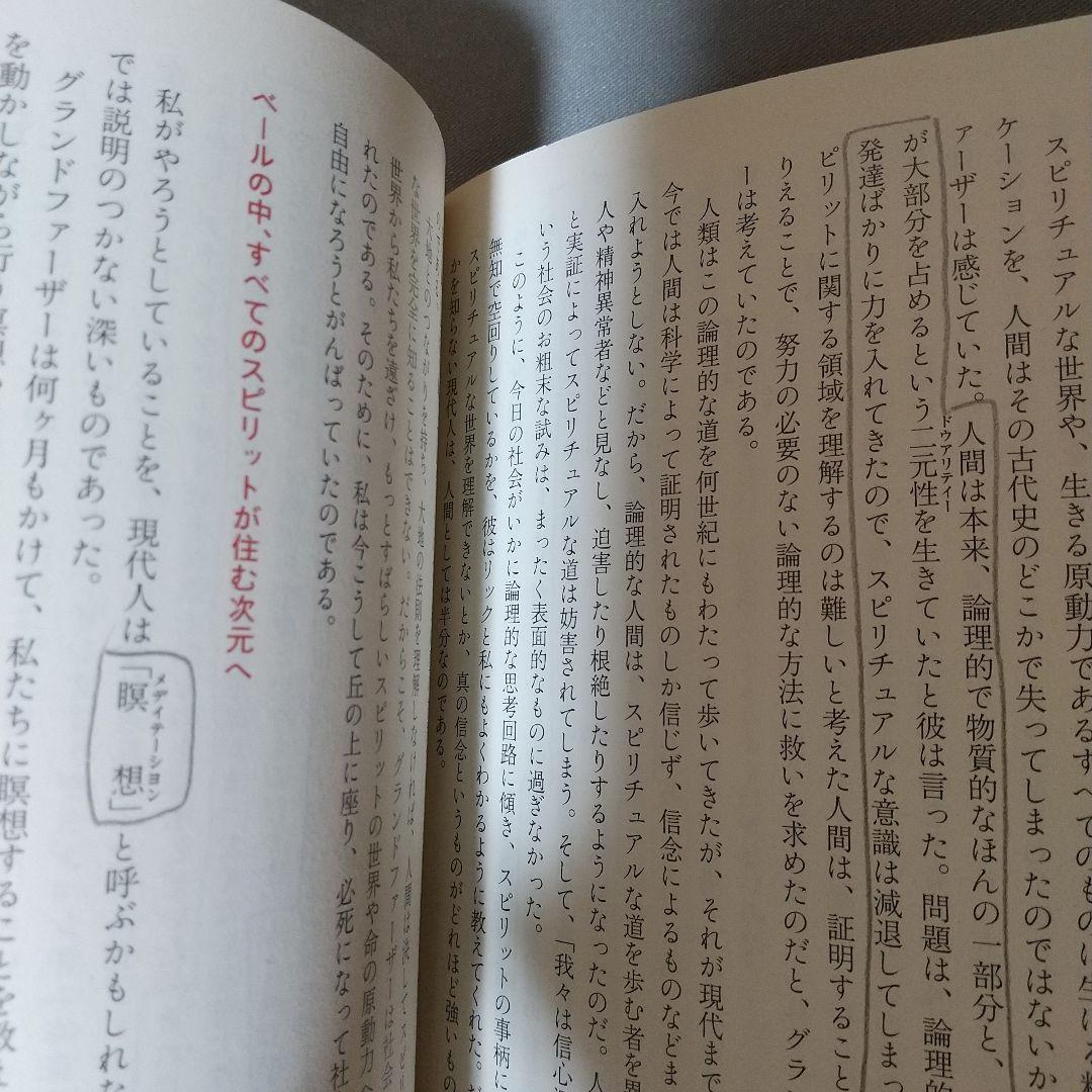 ヴィジョン―次元のベールを超えて見た地球の未来