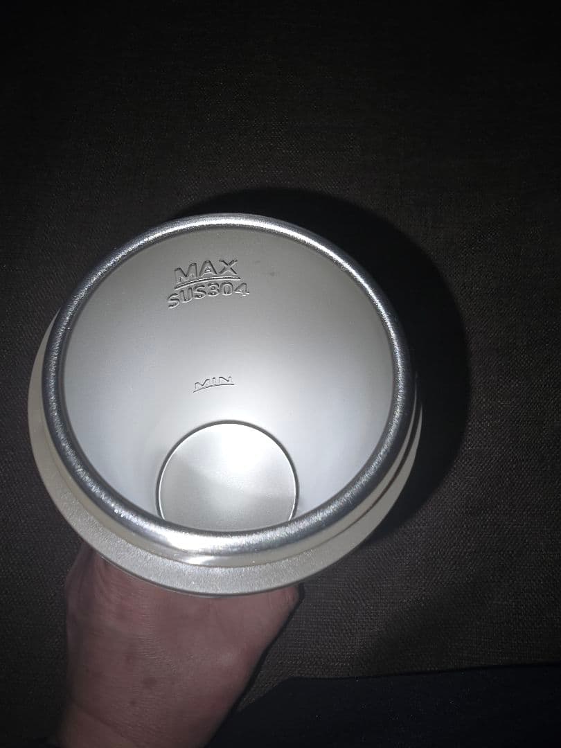 Aliliy 電気ケトル 海外対応可能トラベルケトル 小型 携帯400ml