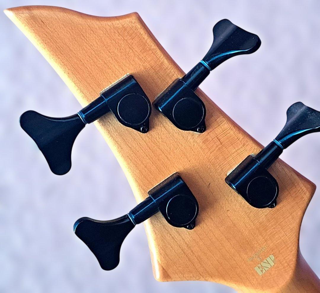 ■EDWARDS E-TN-95B REINDEER BASS エドワーズ