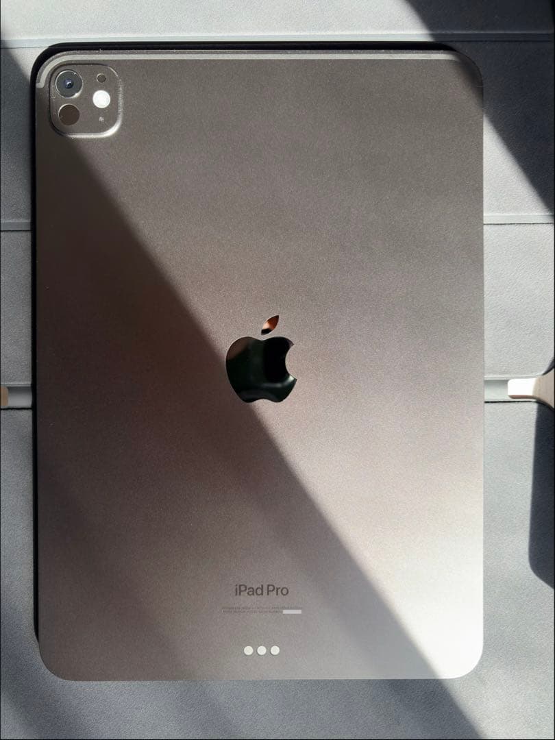 iPad Pro （M4）11インチWi-Fiモデル256GB