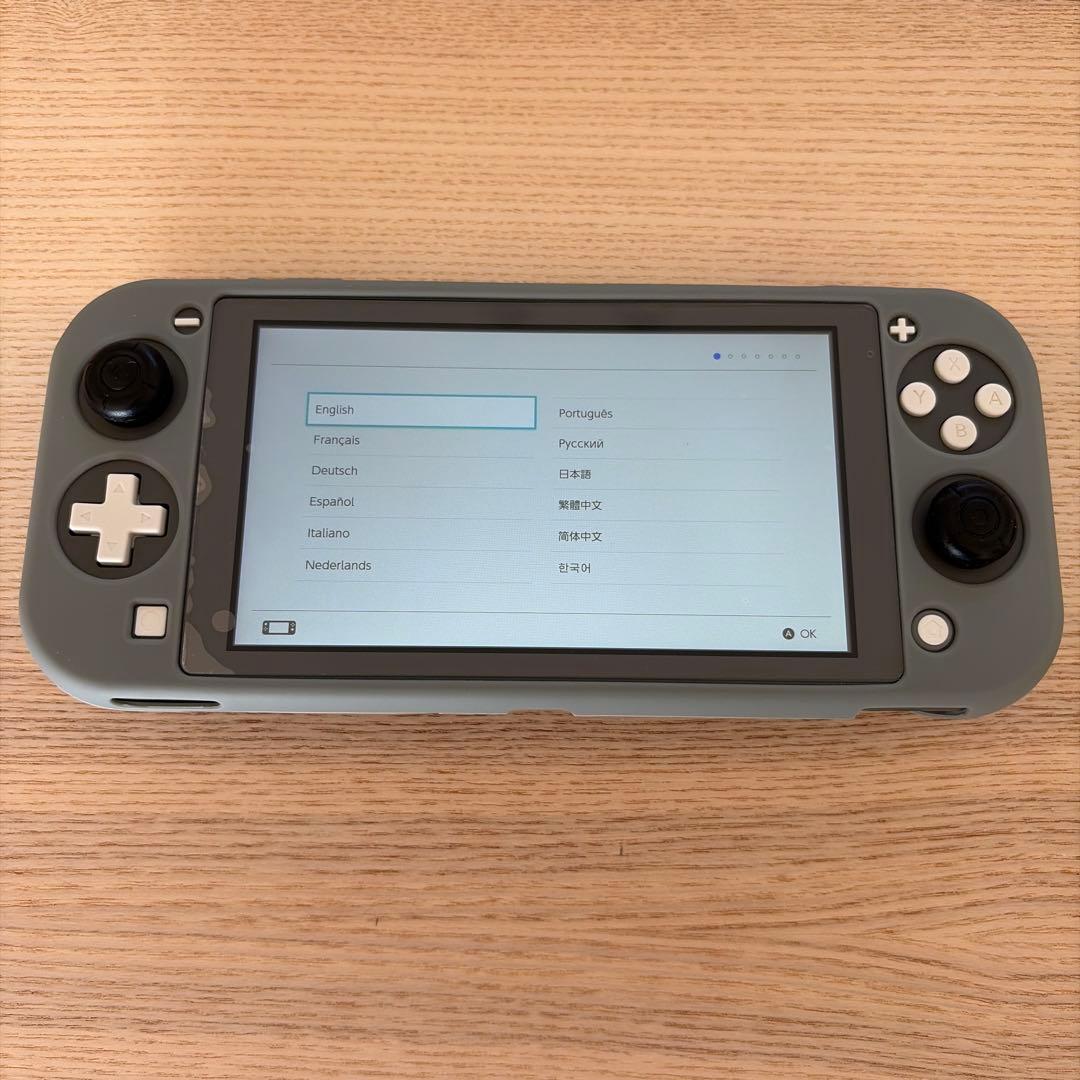 Nintendo Switch Lite グレー 本体 ケース・カバー付き 美品