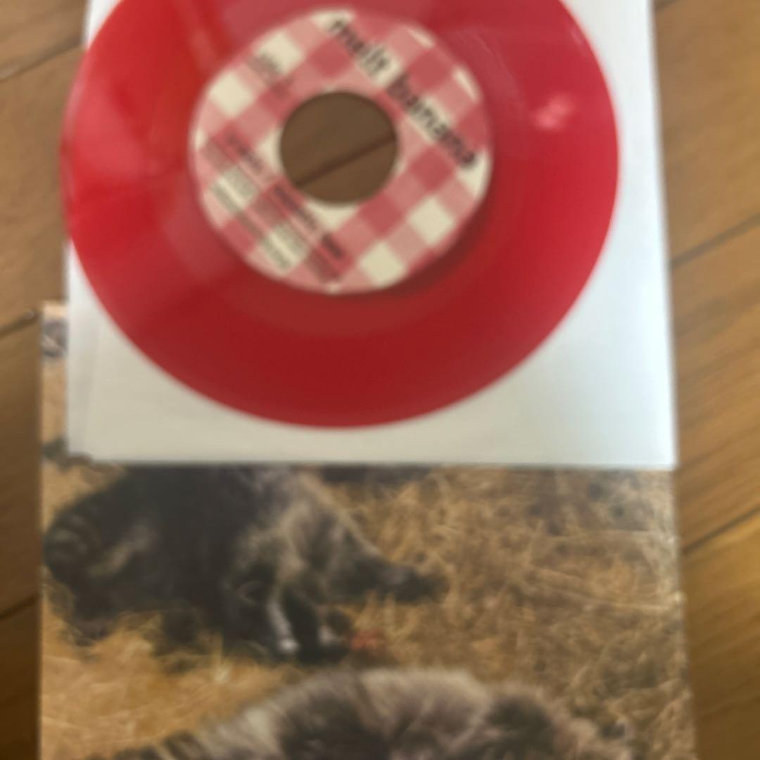 「Melt-Banana」『y-axis / aquatic bee』