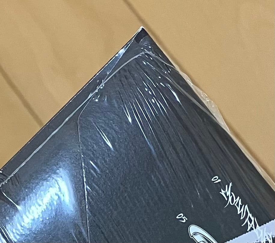 Stray Kids アルバム　限定盤　新品未開封　DO IT 樂-star