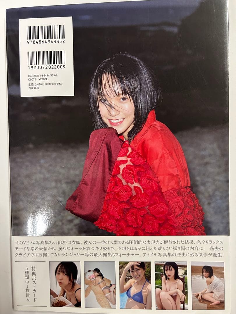 初版 帯付き ポストカード付き 君にしか教えない : 野口衣織ファースト写真集