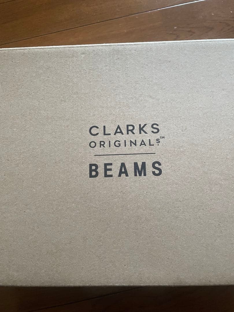 Clarks Desert Trek GTX BEAMS別注