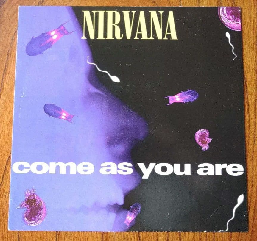 toty Nirvana ニルヴァーナ LPレコード 2枚