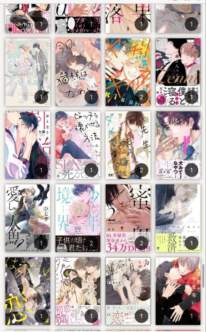 最終値下げ！BL ボーイズラブ 漫画 人気巻多数！！ 合計531巻