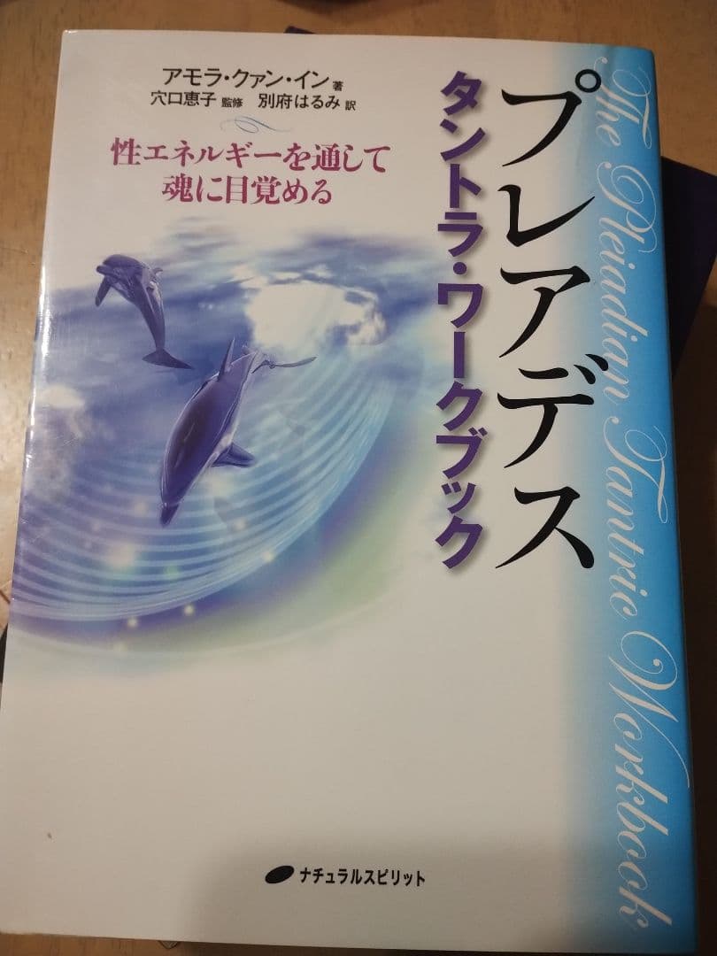 プレアデス タントラ・ワークブック