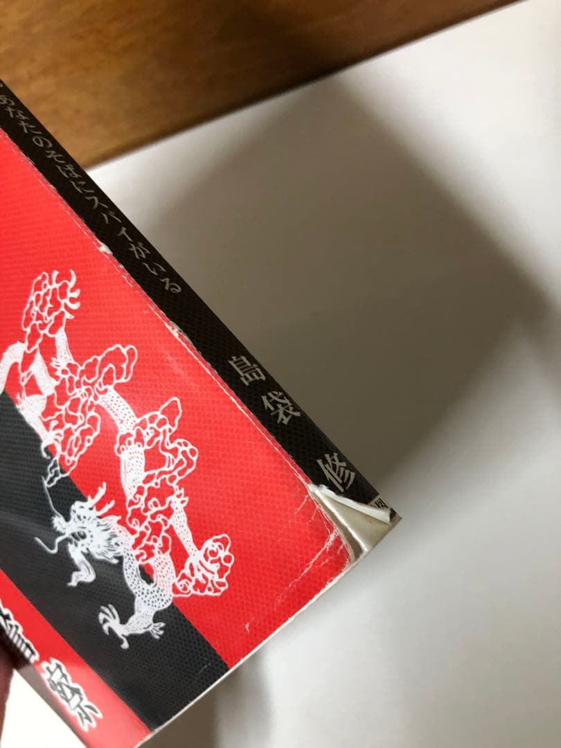 封印の公安警察　あなたのそばにスパイがいる【匿名配送】