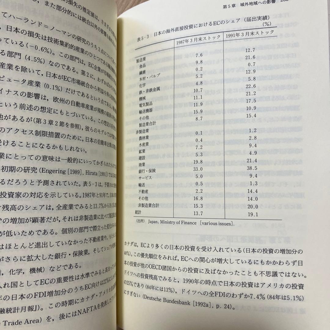 「経済統合と発展途上国」　大野幸一 編