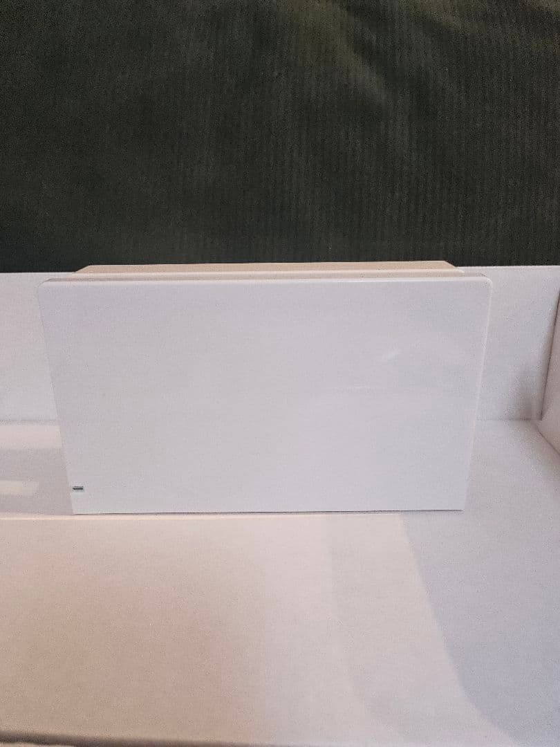 Nintendo Switch あつまれ どうぶつの森 ソフトなし・初期化済