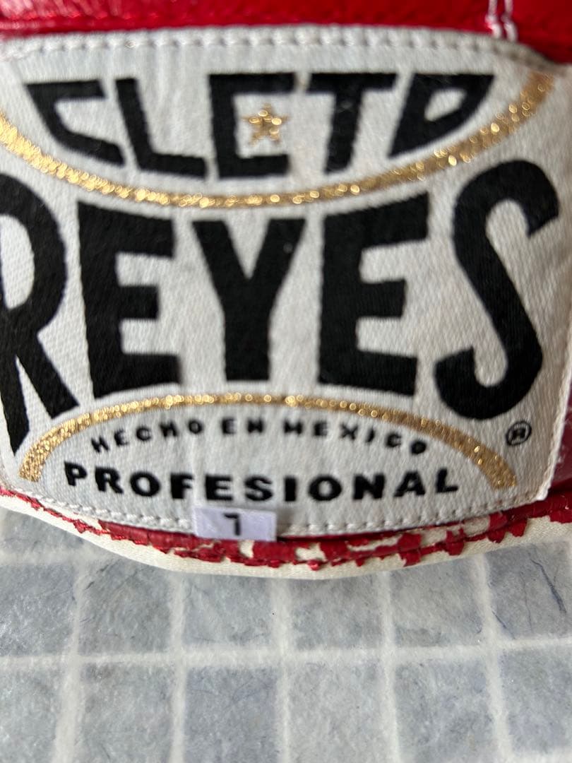 CLETO REYES パンチングボール ボクシンググローブ
