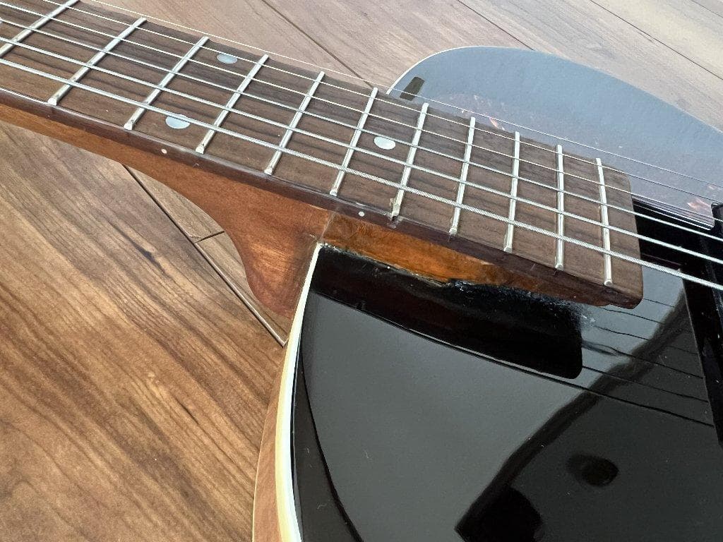入手困難　The Loar　LH-301T-VS　名器！　ハードケース付属
