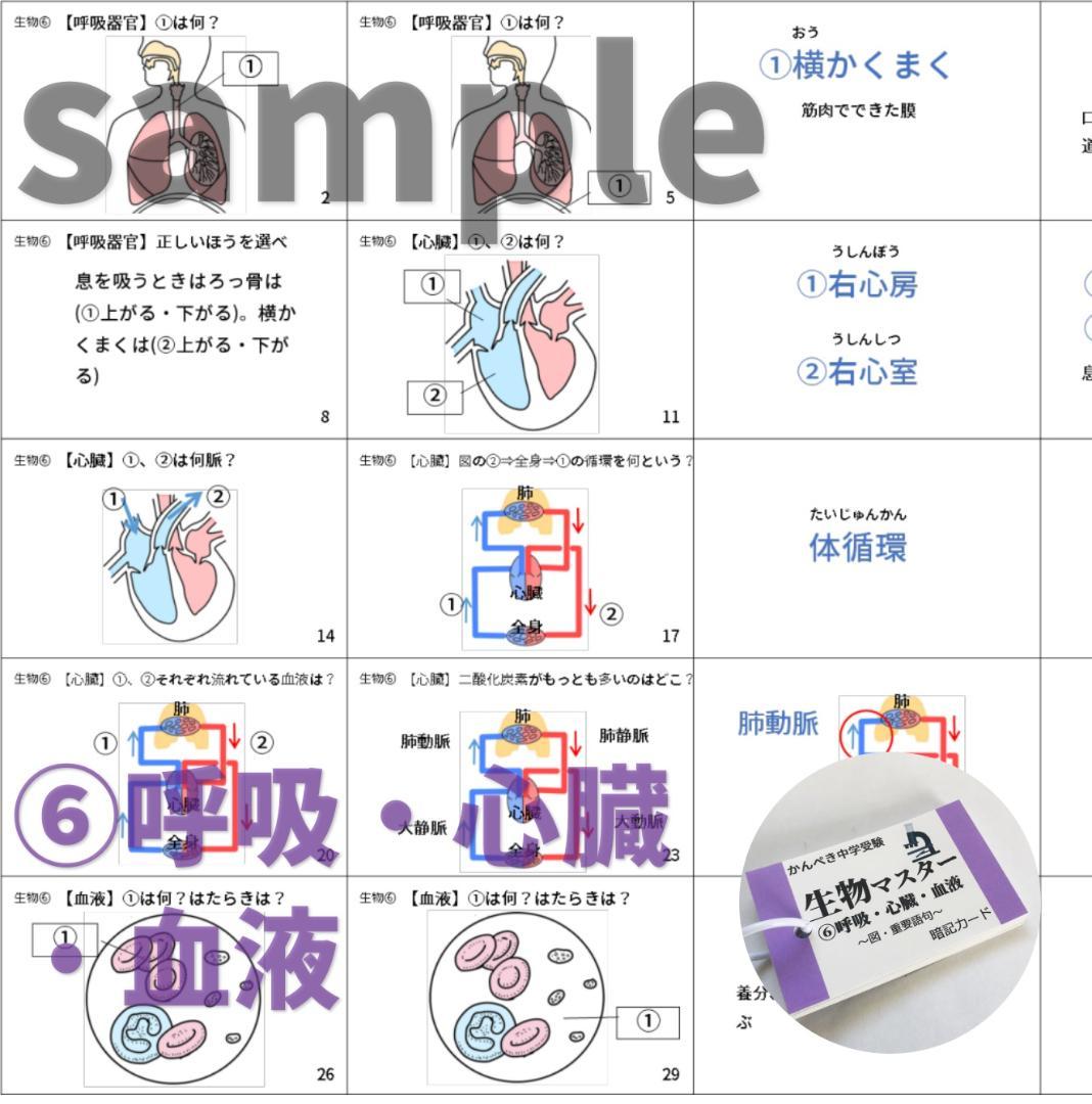 中学入試理科　生物・化学・地学・物理マスターセット　学習教材　入試対策【074】