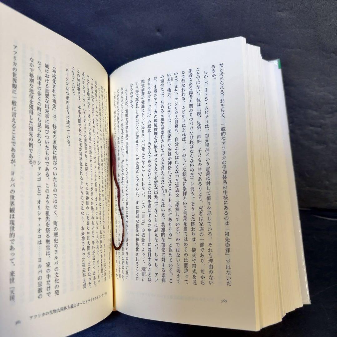 難あり 地球の洞察 : 多文化時代の環境哲学