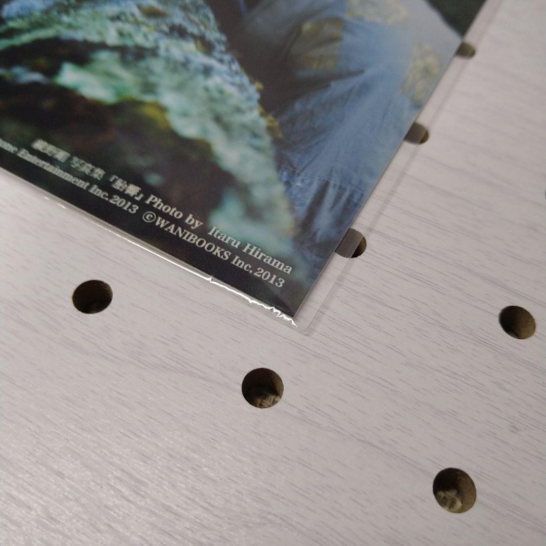 【新品】胎響 綾野剛写真集 特典 ポストカード 未使用