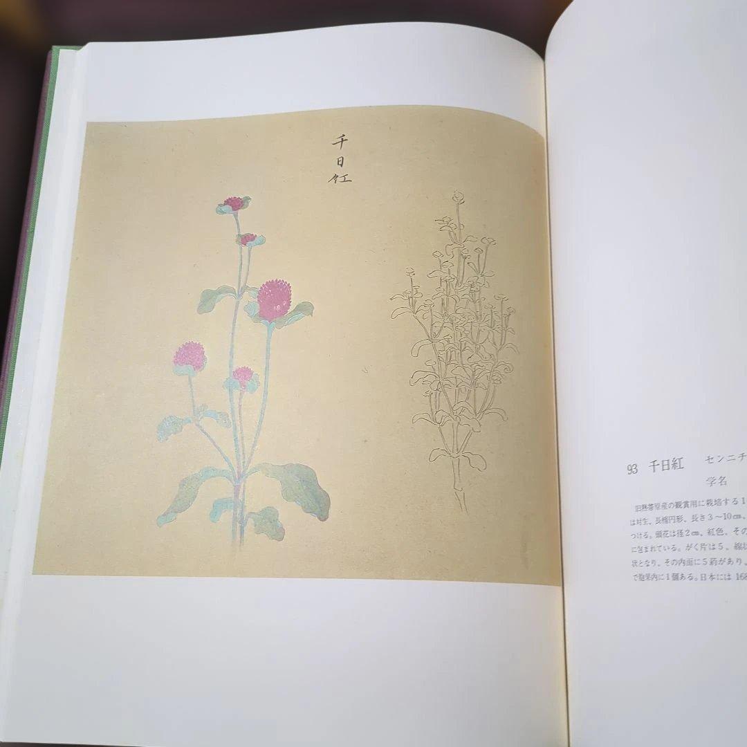 近衛豫楽院による花木真寫の限定版図録　1000部限定