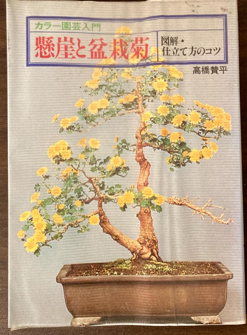 「懸崖と盆栽菊」図解・仕立て方のコツ