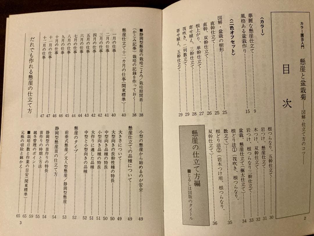 「懸崖と盆栽菊」図解・仕立て方のコツ