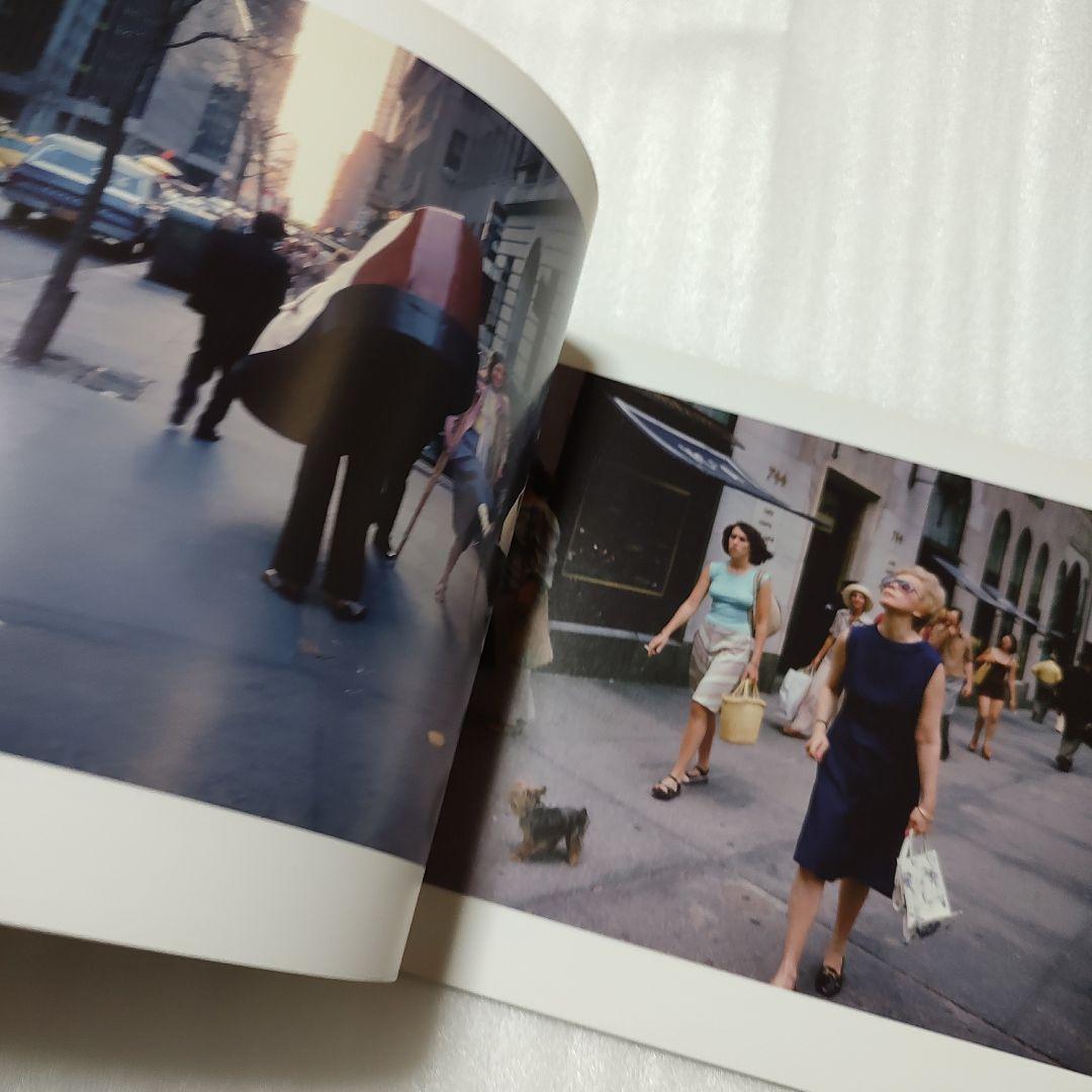 JOEL MEYEROWITZ 「OUT OF THE ORDINARY」