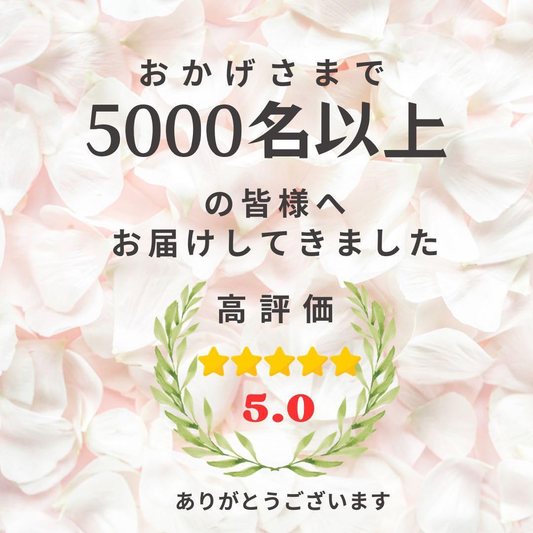 【光触媒】至高の華やぎ 胡蝶蘭と薔薇の特大ロングスワッグ（68cm） 春の彩り