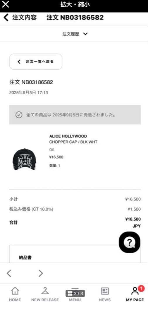 ALICE HOLLYWOOD キャップ (即日発送)