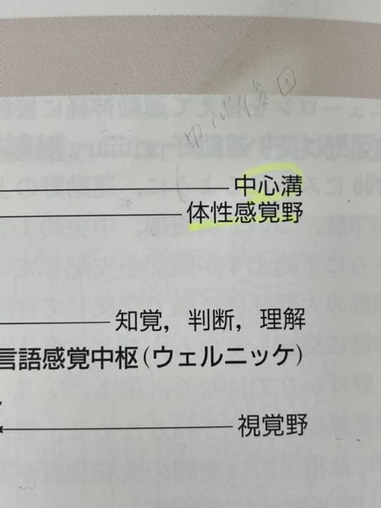 図解生理学