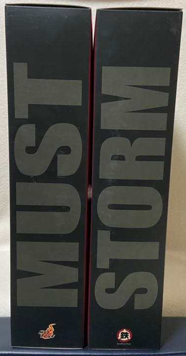 鉄人兄弟 × HOTTOYS　マイケルラウMUST&STORM2体セット
