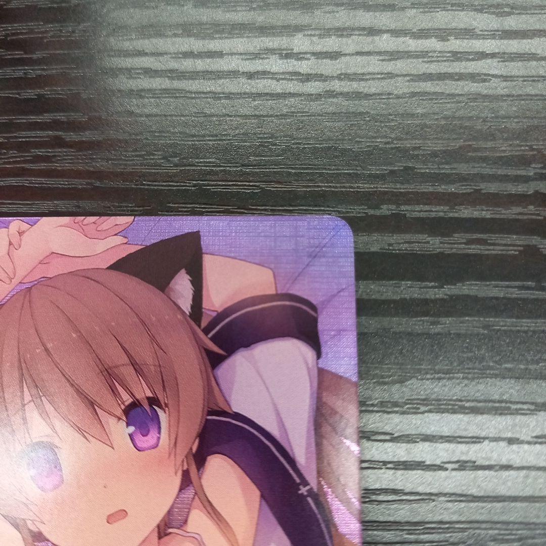 ヴァイス　甘えんぼうな恋人 真白 ssp サイン