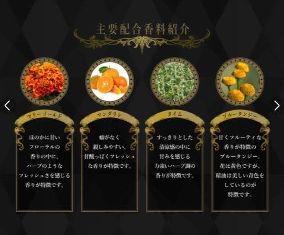 未開封 新品 ジョジョの奇妙な冒険 エウ・ド・パルファム ジョナサンジョースター