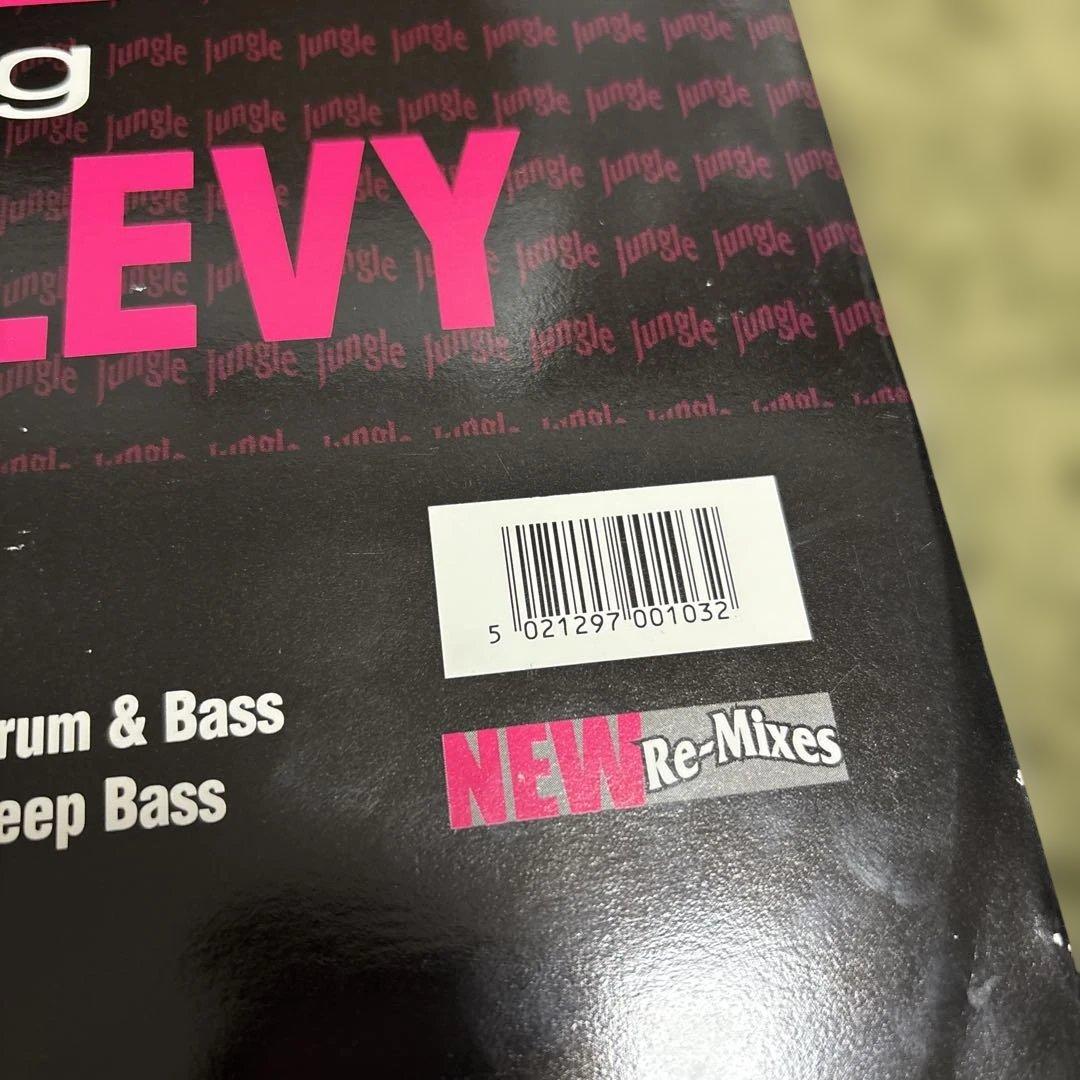 12インチ M-BEAT GENERAL LEVY INCREDIBLE