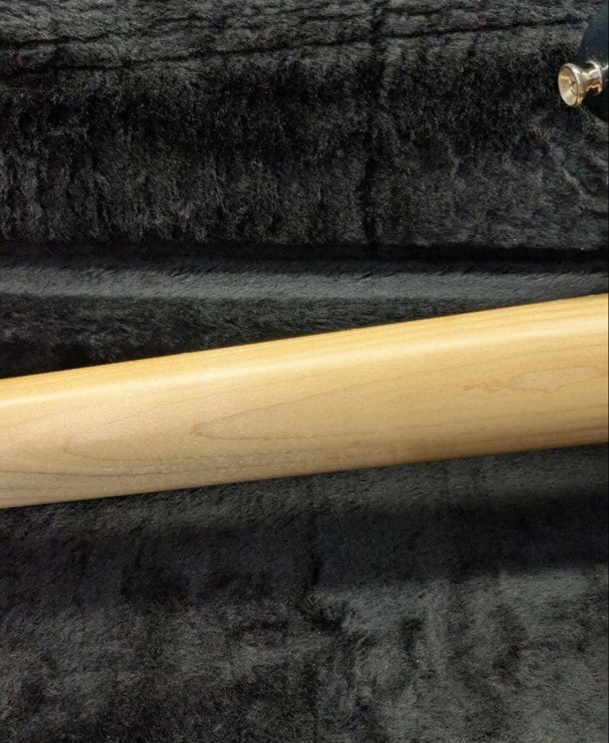 Psychederhythm standard-P bass ととと
