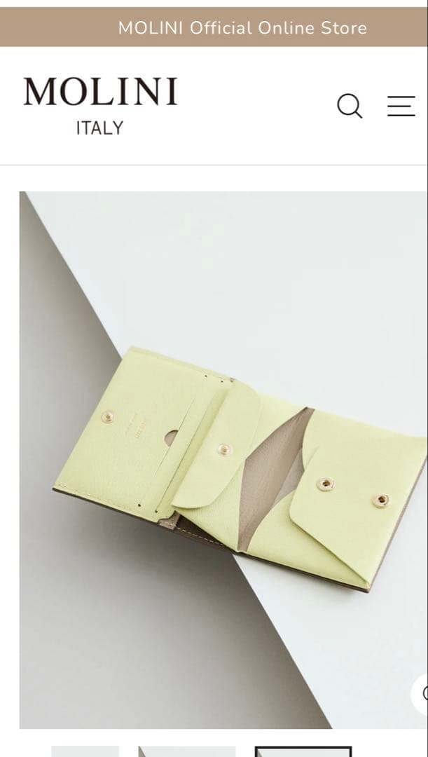 期間限定SALE‼️美品　MOLINI Wallet Topo × Yellow